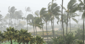 One Year Later: What Hurricanes Helene and Milton Taught Us About Building Safer Coastal Homes in Tampa, St. Petersburg & Clearwater