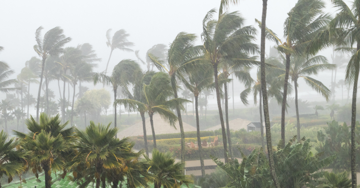 One Year Later: What Hurricanes Helene and Milton Taught Us About Building Safer Coastal Homes in Tampa, St. Petersburg & Clearwater