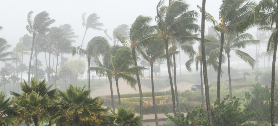 One Year Later: What Hurricanes Helene and Milton Taught Us About Building Safer Coastal Homes in Tampa, St. Petersburg & Clearwater